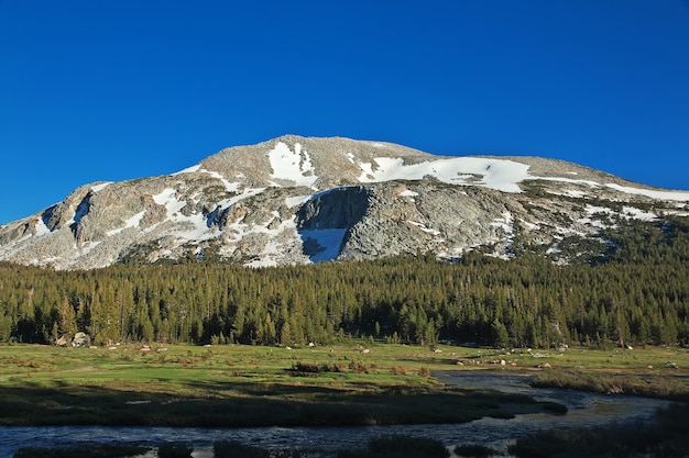 Yosemite National Park in California of United States