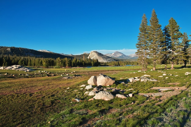 Yosemite National Park in California, USA