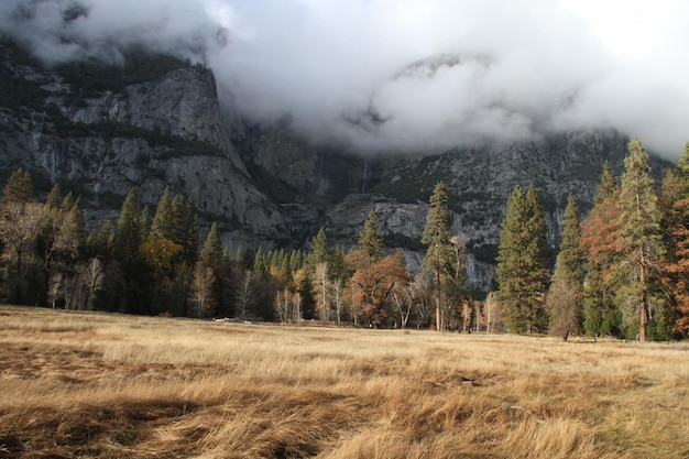 Yosemite national park in the fall