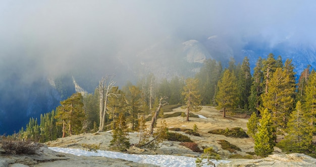 Yosemite National Park, USA