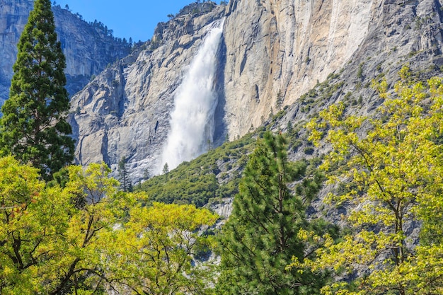 Yosemite National Park, USA