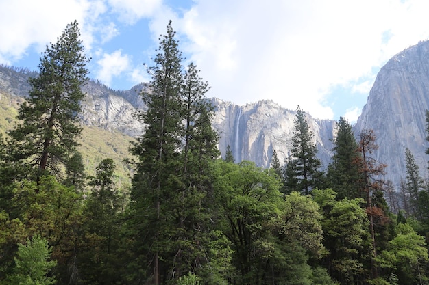 Yosemite in Spring