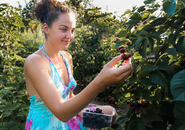 Young adult woman picks berries of ripe blackberry on a background of green foliage. Gardening. Harvesting.