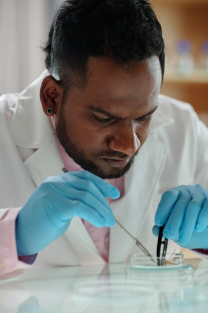 Young african american serious microbiologist in lab coat and protective gloves using medical instru