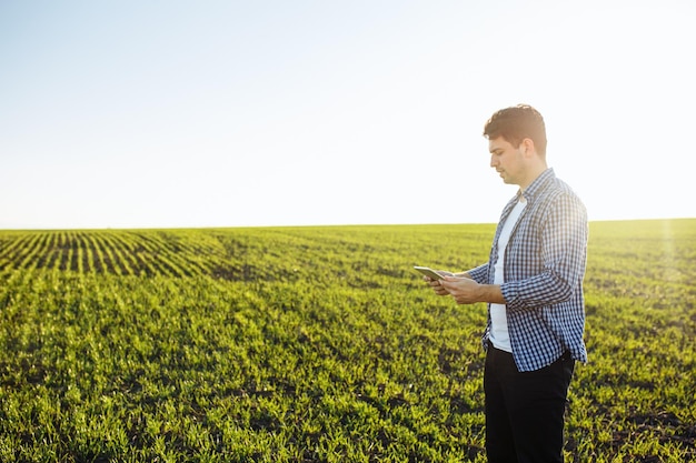 Young agronomist check the data from the tablet and compares the new wheat seeding progress with expectations. Technologies and farming concept.