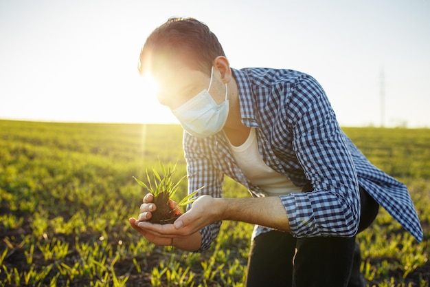 Young agronomist wearing medical mask checking the quality of the new wheat sprouts at the field. New green crop, farmer examines the progress of seeding growth. Healthy food and farming concept.