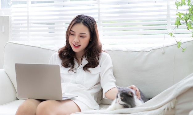 Young Asian businesswoman working and playing with cat