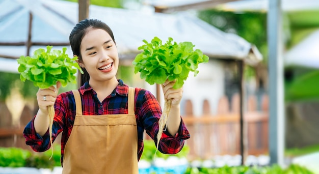 Young Asian girl farmer holding hands for checking fresh green oak lettuce salad organic hydroponic vegetable in nursery farm Business and organic hydroponic vegetable concept