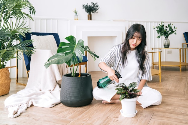 Young Asian long black hair woman wearing casual cloth sprayed water on a small house plant in the pot with care Monstera and house plant lover at home The concept of plant care