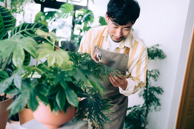 Young Asian male florist owner of small business flower shop handling and taking care of various plants in his shop Enjoying his job to be with the plants Small business concept