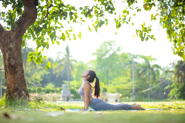 Young Asian woman doing yoga under the tree in the park