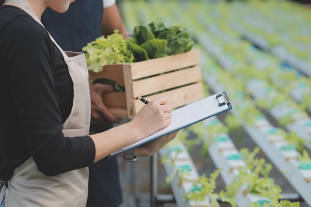 Young Asian woman and senior man farmer working together in organic hydroponic salad vegetable farm Modern vegetable garden owner using digital tablet inspect quality of lettuce in greenhouse garden