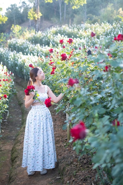 Young Asian woman wearing a white dress poses with a rose in rose garden