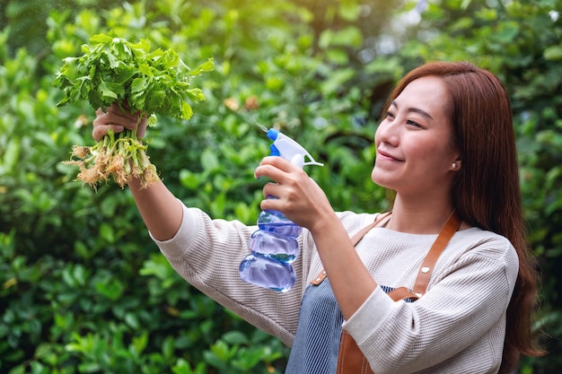 A young asian woman with apron spraying celery by foggy in the garden