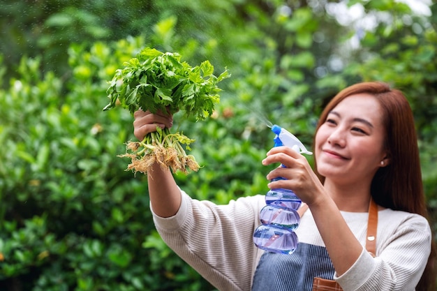 A young asian woman with apron spraying celery by foggy in the garden