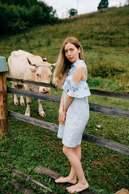 Young attractive elegant blonde girl in blue romantic dress posing with cow in the countryside