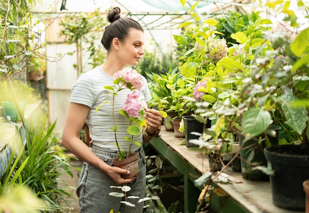 Young attractive happy women in casual clothes holding pot with hydrangea in greenhouse