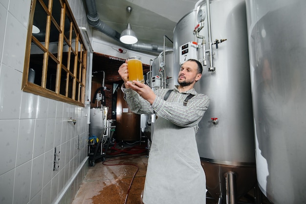 A young bearded brewer conducts quality control of freshly brewed beer in the brewery.