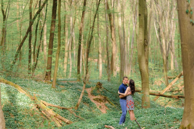 Young beautiful couple in love in the forest. A couple is hugging near a ravine among the trees. Free space.