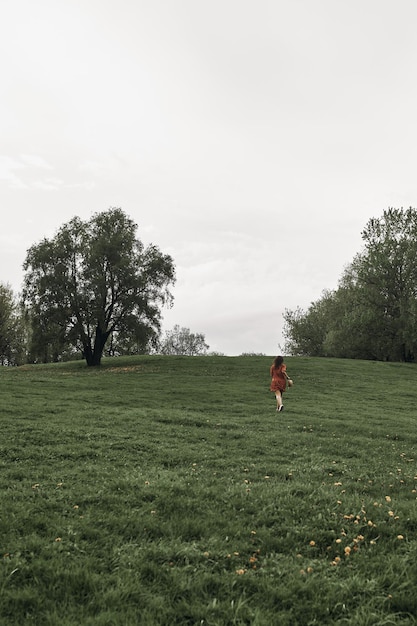 Young beautiful girl having fun in the park on the grass and meadow of dandelions. Summer background