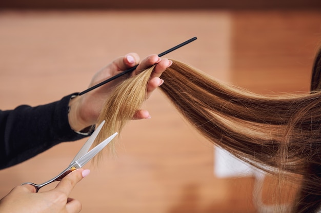 young beautiful woman client makes a haircut from a professional hairdresser in a beauty salon