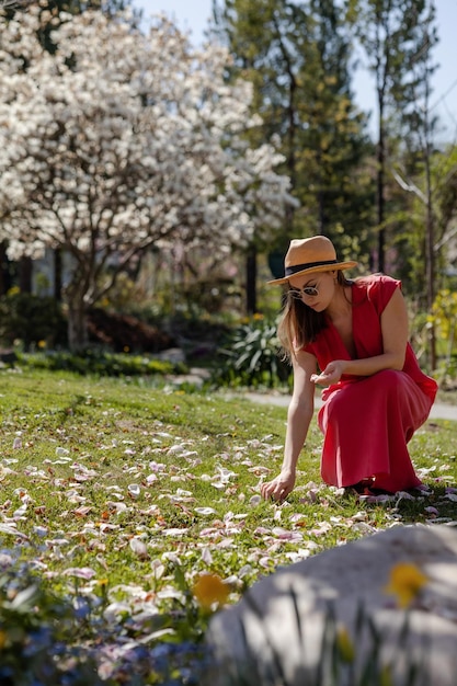 A young beautiful woman in an elegant red dress and straw hat collects the petals of white magnolia flowers hat have fallen to the ground in a spring flowering garden