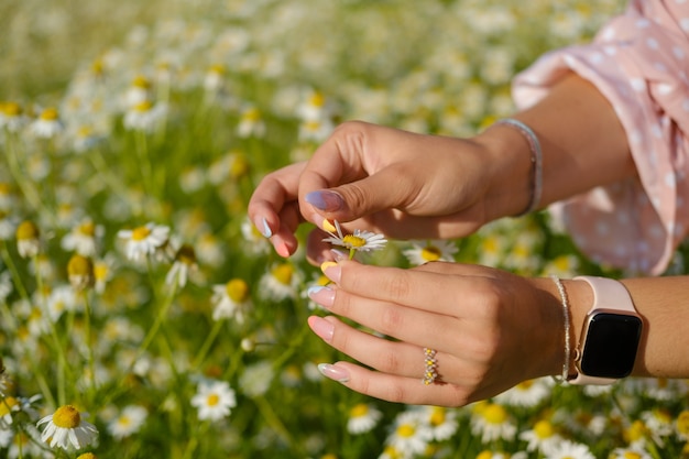 Young beautiful woman on the field with white daisies