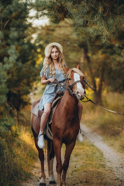 Photo a young beautiful woman rides a horse in the forest in autumn horseback riding in the evening in autumn