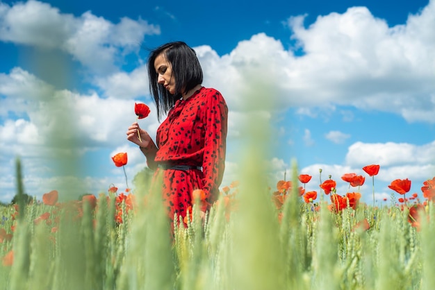 Young beautiful woman on the summer flowers poppies field