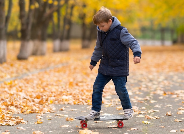 Young boy in warm jacket learning to skateboard, viewed full-length from his front, riding across park walkway covered with yellow leaves on an autumn day