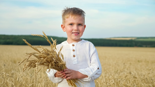 Young boy with bunch of ripe wheat spicules stands and smiles in yellow field helping to gather harvest on hot sunny day, against blue sky closeup