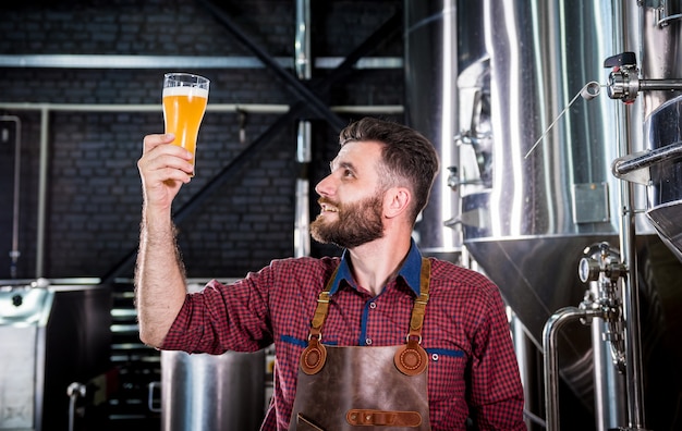 Young brewer wearing a leather apron is testing beer at a modern brewery