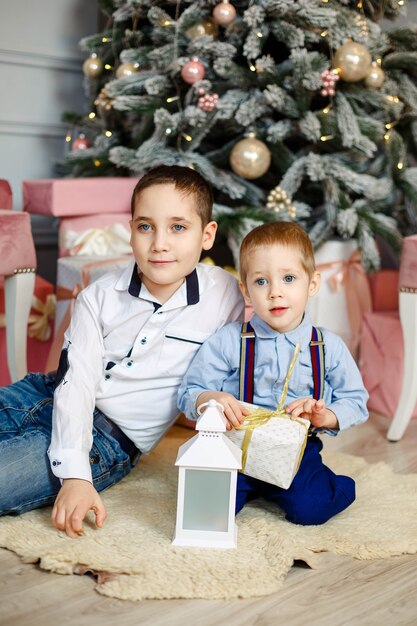 Young brothers near Christmas tree