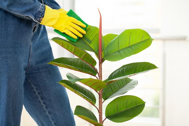 Young business woman sprays plants in flowerpots