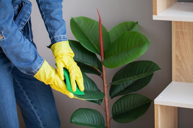 Young business woman sprays plants in flowerpots.