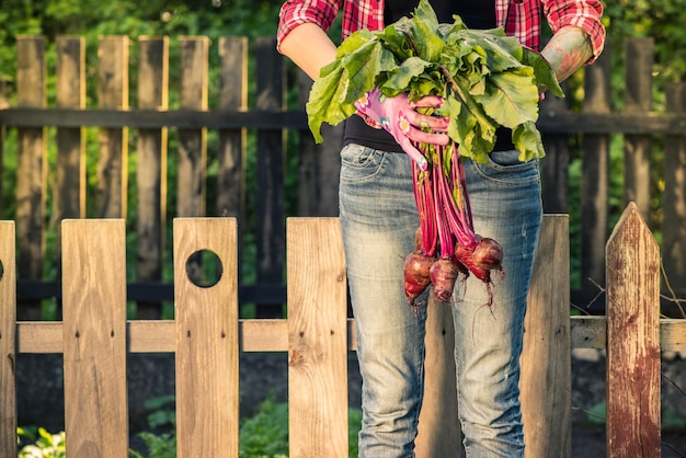 Photo young casual woman holding fresh beetroot in garden