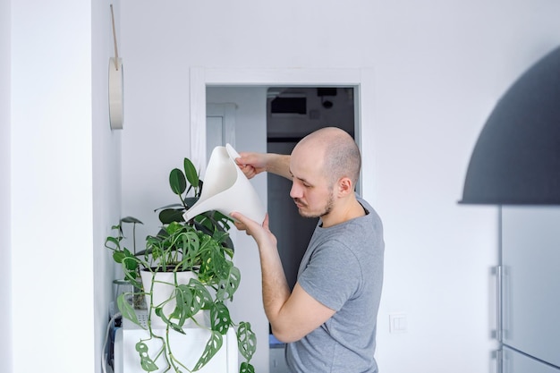 A young caucasian man watering houseplant monstera monkey Indoor gardening