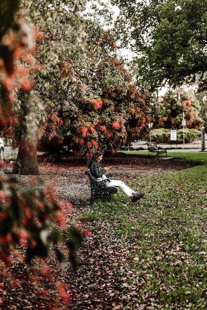 Young caucasian woman check her phone in the park during springtime She sit on a bench