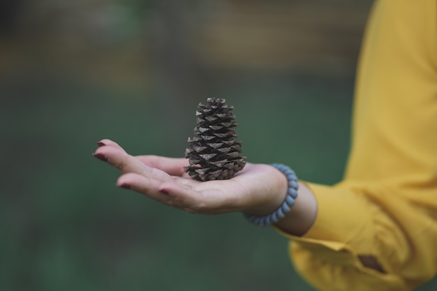 Young caucasian woman holds pine cone in forest.