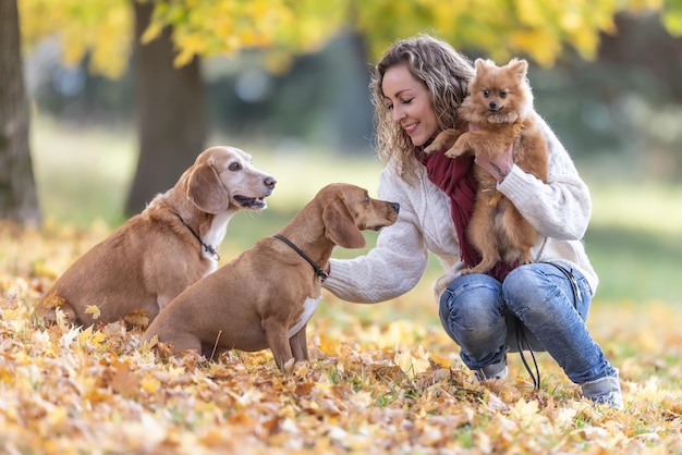 A young cheerful woman is getting to know two new dogs with her pet