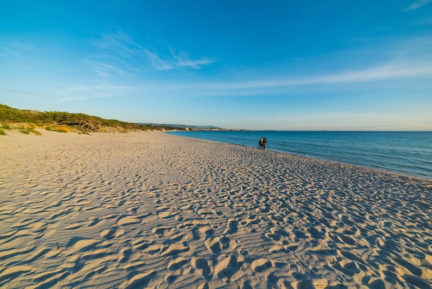 Young couple walking on the beach at sunset