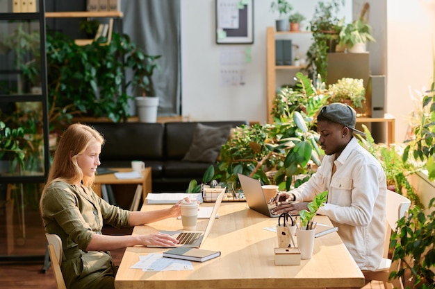 Young coworkers sitting by desk in front of one another and organizing work