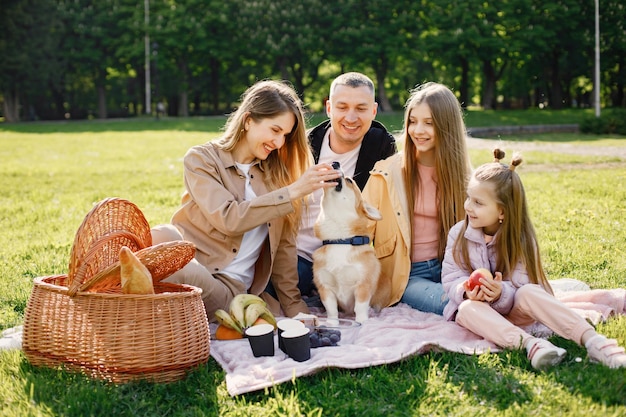 Young family and their corgi dog having picnic in a park