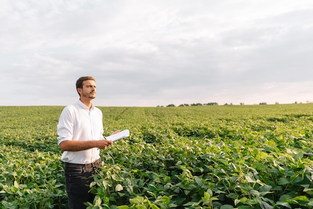 Young farmer in filed examining soybean corp. He is thumbs up.