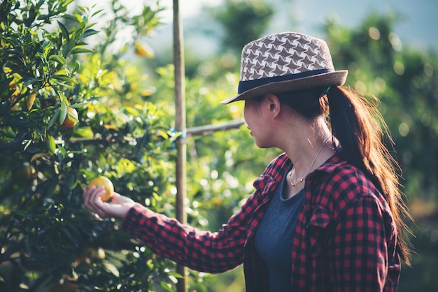 Young farmer  holding sweet orange trees in hands