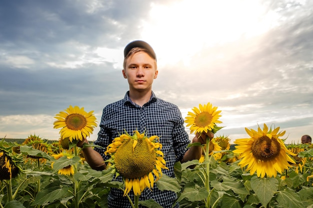 Young farmer standing in sunflower field examining crop at sunset looking at camera