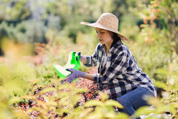 Young female gardener watering the plants in garden.