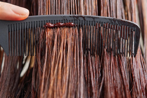 Young female hairdressed hands dyeing long hair to beautiful girl Barber hair dye is applied with a brush