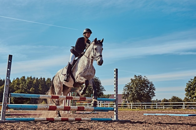 Young female jockey on dapple gray horse jumping over hurdle in the open arena.