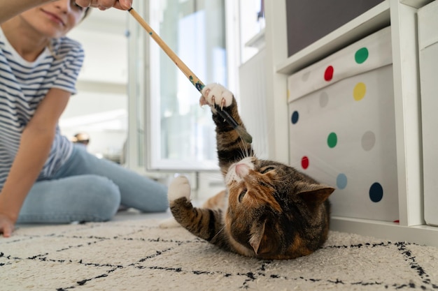 Young female owner plays with her beloved fluffy pet at home and enjoy positive emotions